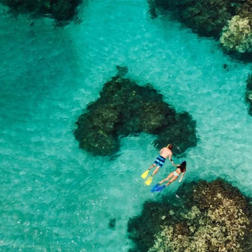 Με σεβασμό στο θαλάσσιο οικοσύστημα 